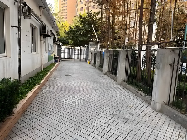 哑姑玉经